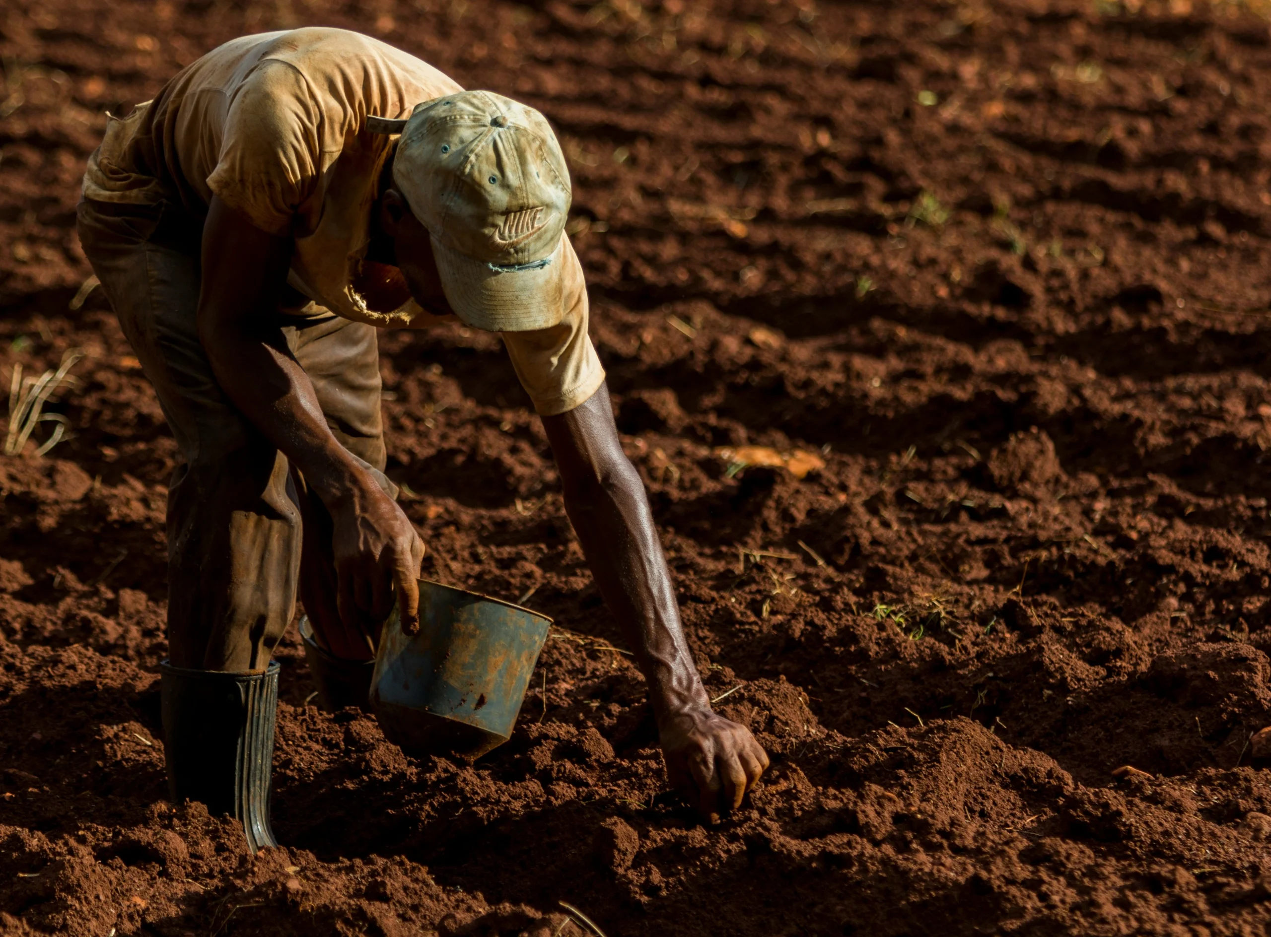 agric prod