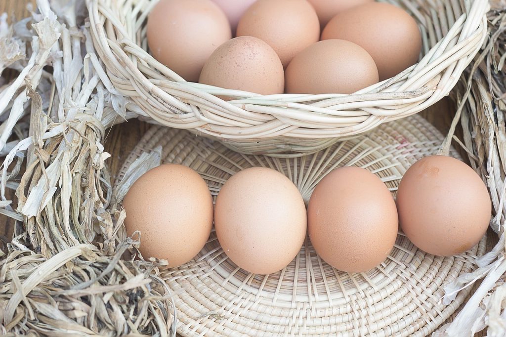 eggs, chicken eggs, eggs in a basket, farm, fresh eggs, organic eggs