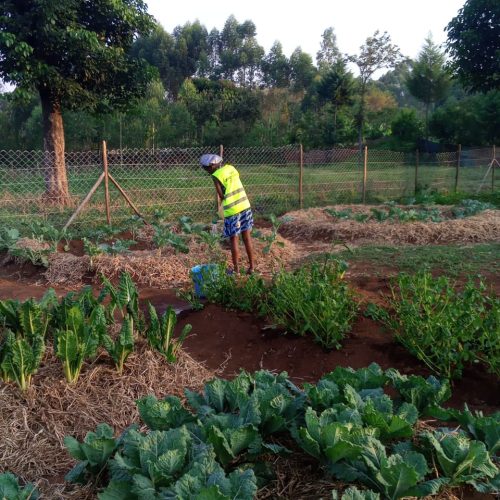 whatsapp image 2026 02 04 at 10.13.54 am